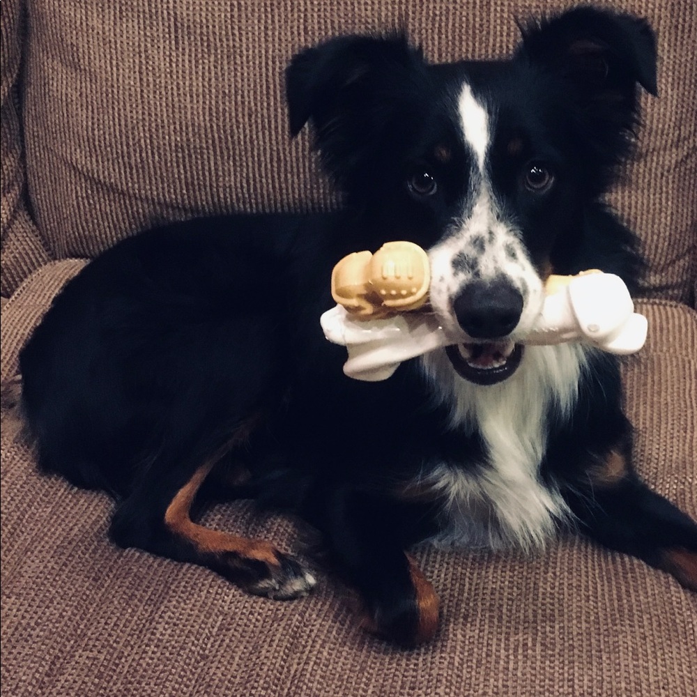 Meet your Posher, Kerry